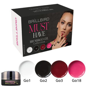 Must have Brush & go colour kit